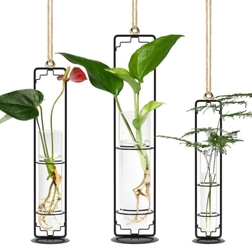 MIPON Metal Hanging Plant Propagation Station,3 Size Glass Test Tube Hydroponic Planter,Boho Wall Hanging Plant Cuttings Holder,Indoor Water Plant Terrarium Tubes for Home Office Window Decor-Black - Image 1