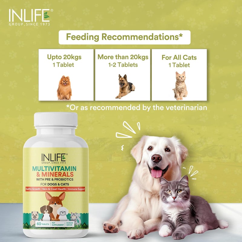 Inlife فيتامينات متعددة للكلاب والقطط والحيوانات الأليفة | جينسنغ، بروبيوتيك وبريبايوتيك، فيتامين ب12، ج، د، هـ، زنك وبيوتين مكمل للنمو الصحي، الجلد والفرو، دعم المناعة - 60 قرص - Image 3