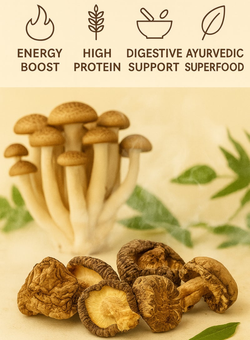 Zahr Dried Mushroom – Premium Whole Dried Mushroom | Natural Herbal Mushroom for Gardening, Horticulture, Potpourri & Botanical Use - Image 2