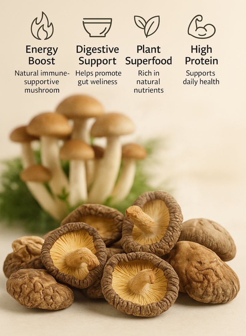 Zahr Dried Mushroom – Premium Whole Dried Mushroom | Natural Herbal Mushroom for Gardening, Horticulture, Potpourri & Botanical Use - Image 3