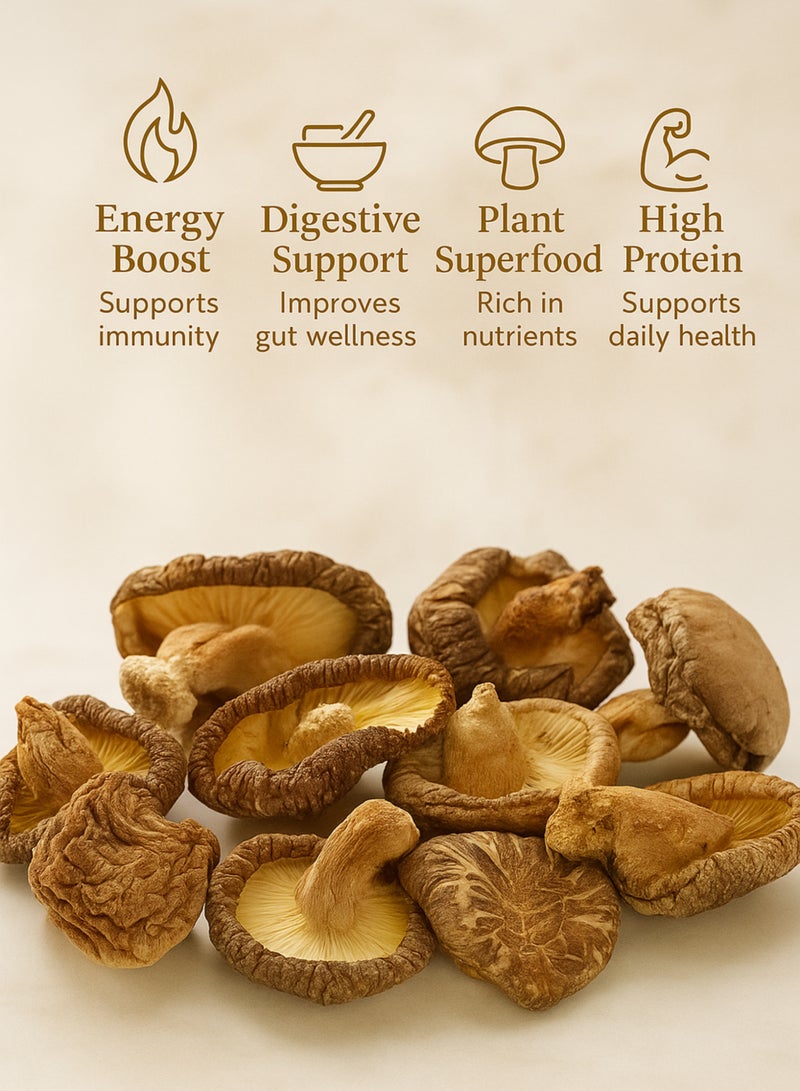 Zahr Dried Mushroom – Premium Whole Dried Mushroom | Natural Herbal Mushroom for Gardening, Horticulture, Potpourri & Botanical Use - Image 4