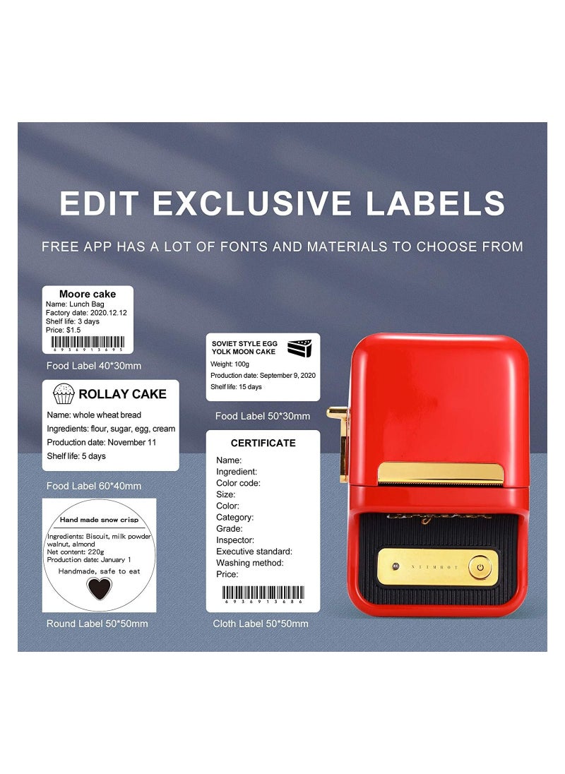 NIIMBOT - B21 Inkless Label Maker Wireless Portable Thermal Label Printer - Image 1