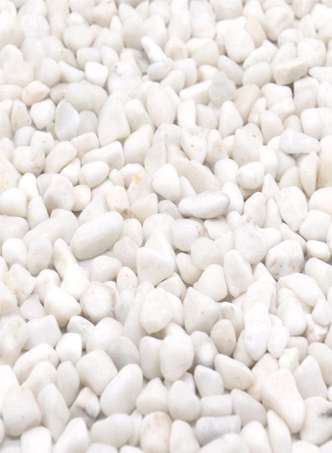 Premium Pebbles White Decorative Polished Rocks for Plants, Garden, Vase Fillers, Succulents, Pots - 3/8 Inch, 5 lbs (XSM 0.375 Inch, White - Lightly Polished) - Image 1