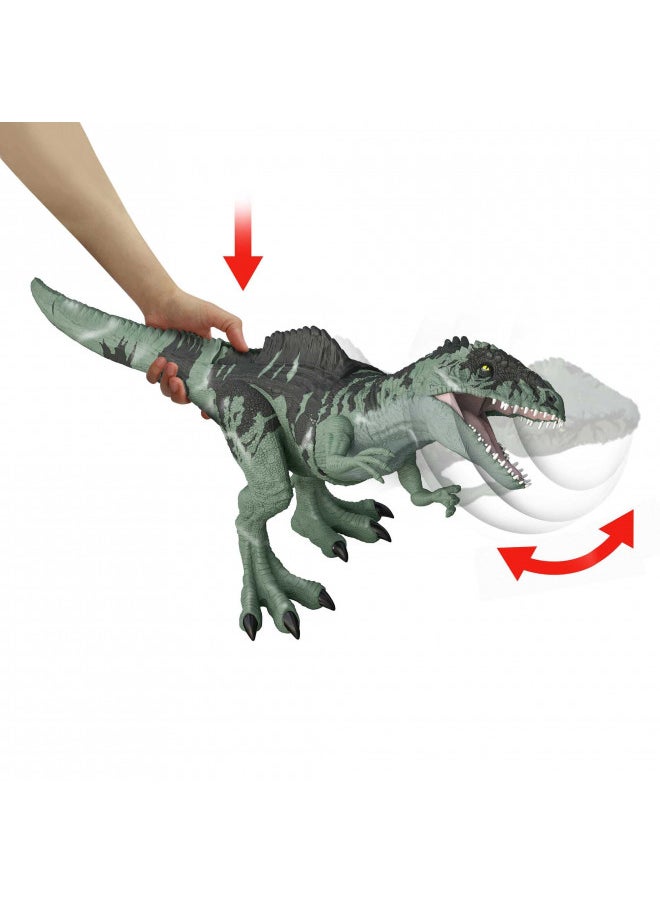 JURASSIC WORLD Mattel Jurassic World Dominion Strike N Roar Giganotosaurus Dinosaur Action Figure Toy with Striking Motion and Sounds  - Image 4