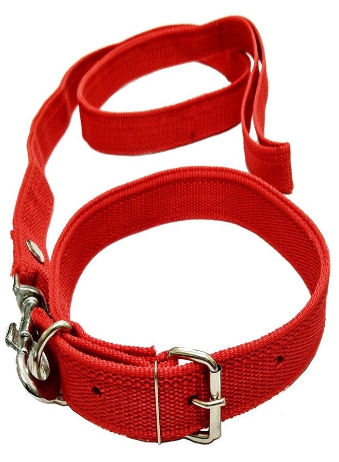 VRCT 1 Inch Designed Dog Collar Belt, 1.5M-2M LENGTHY Dog Dog Collar & Leash (Medium, Multi Color)