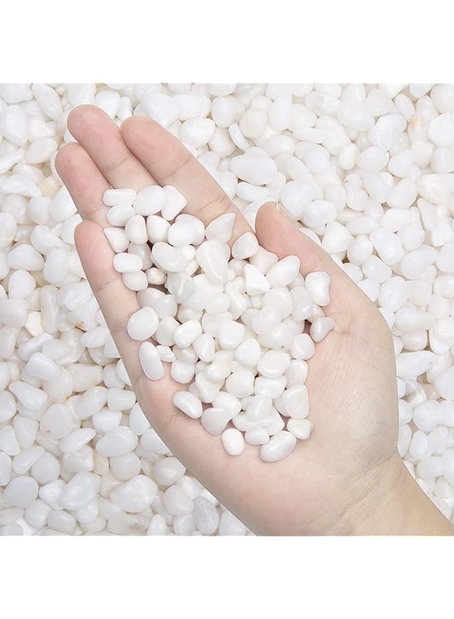 The Bros 9.7 lbPebbles Polished Gravel-Aquarium Gravel River Rock,Natural Decorative Polished White Stones 3/8" Gravel Size,Small Decorative Pebbles for Plants,Home Decor,Landscaping,Vase Fillers and More. - Image 1
