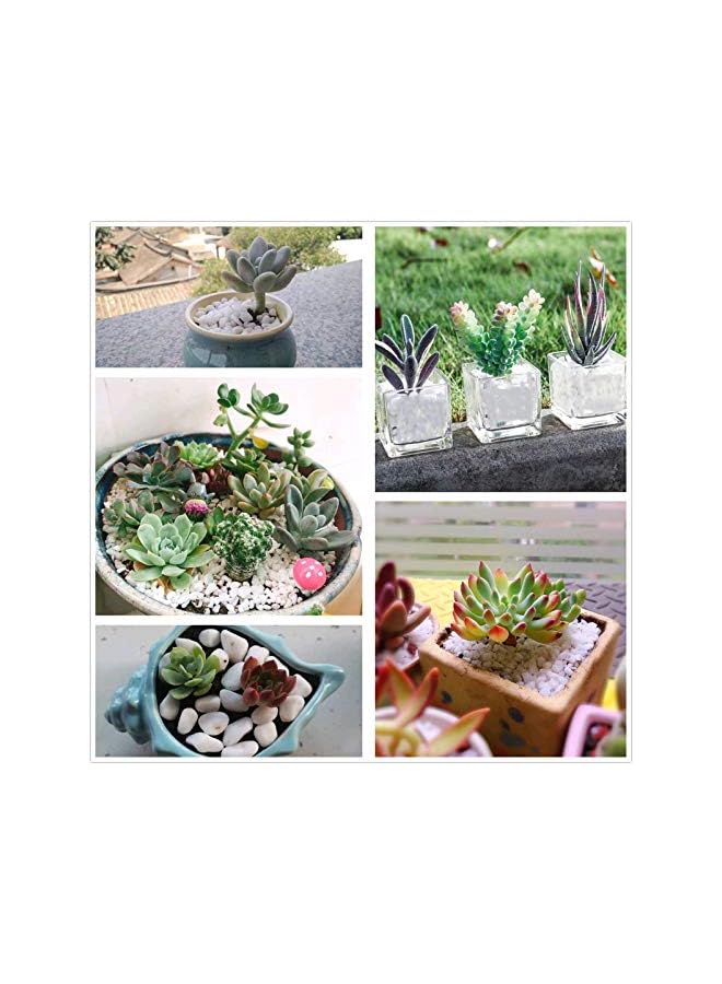 The Bros 9.7 lbPebbles Polished Gravel-Aquarium Gravel River Rock,Natural Decorative Polished White Stones 3/8" Gravel Size,Small Decorative Pebbles for Plants,Home Decor,Landscaping,Vase Fillers and More. - Image 2