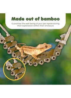SunGrow Bamboo Gecko Reptile Climbing Bridge And Lizard Lounge, 18” Swinging Hideout Bridge, Helps Leopard Geckos With Thermoregulation, Increases Habitat Space, Can Be Submerged In Water  - Image 3