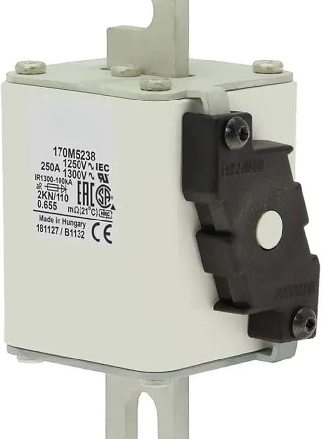 سيلفر فيوز 170M5243 - Image 1