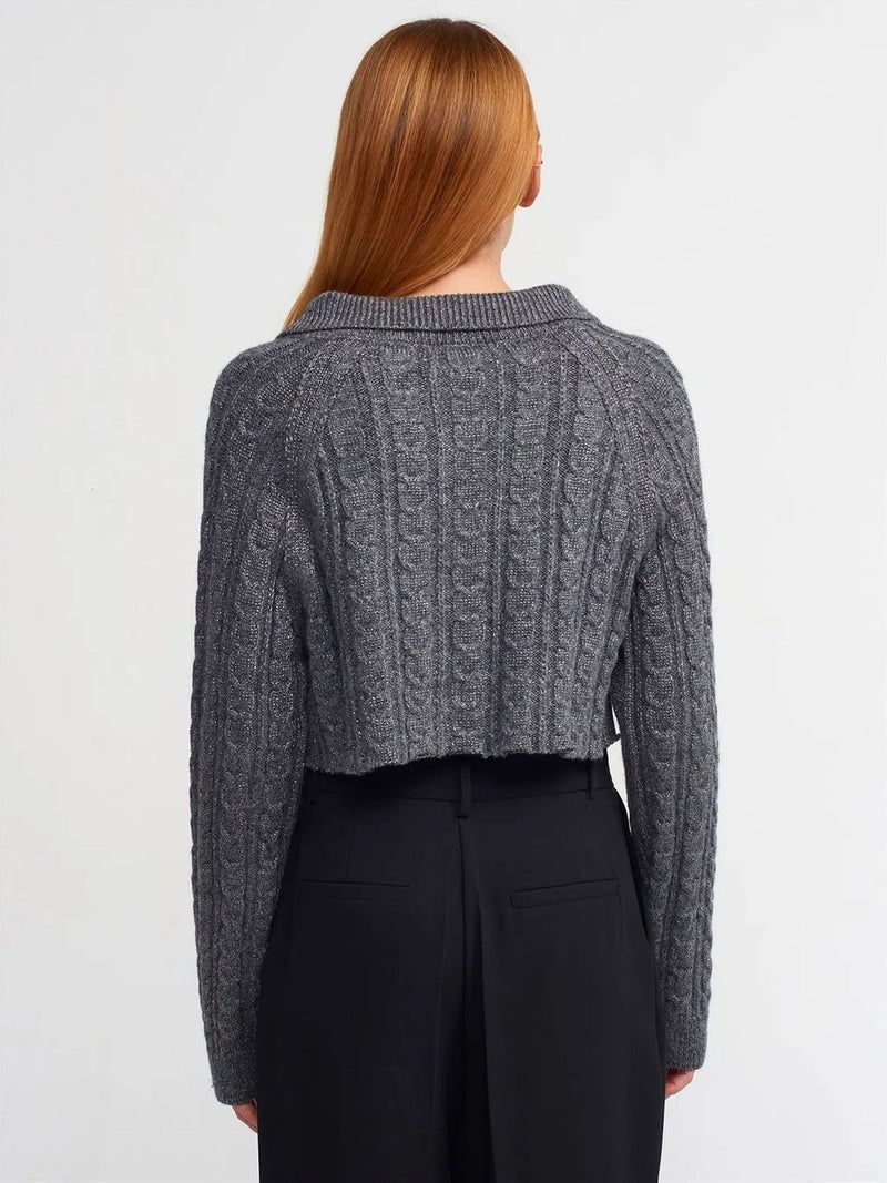DILVIN Crop Cable-Knit Button Cardigan - Image 2