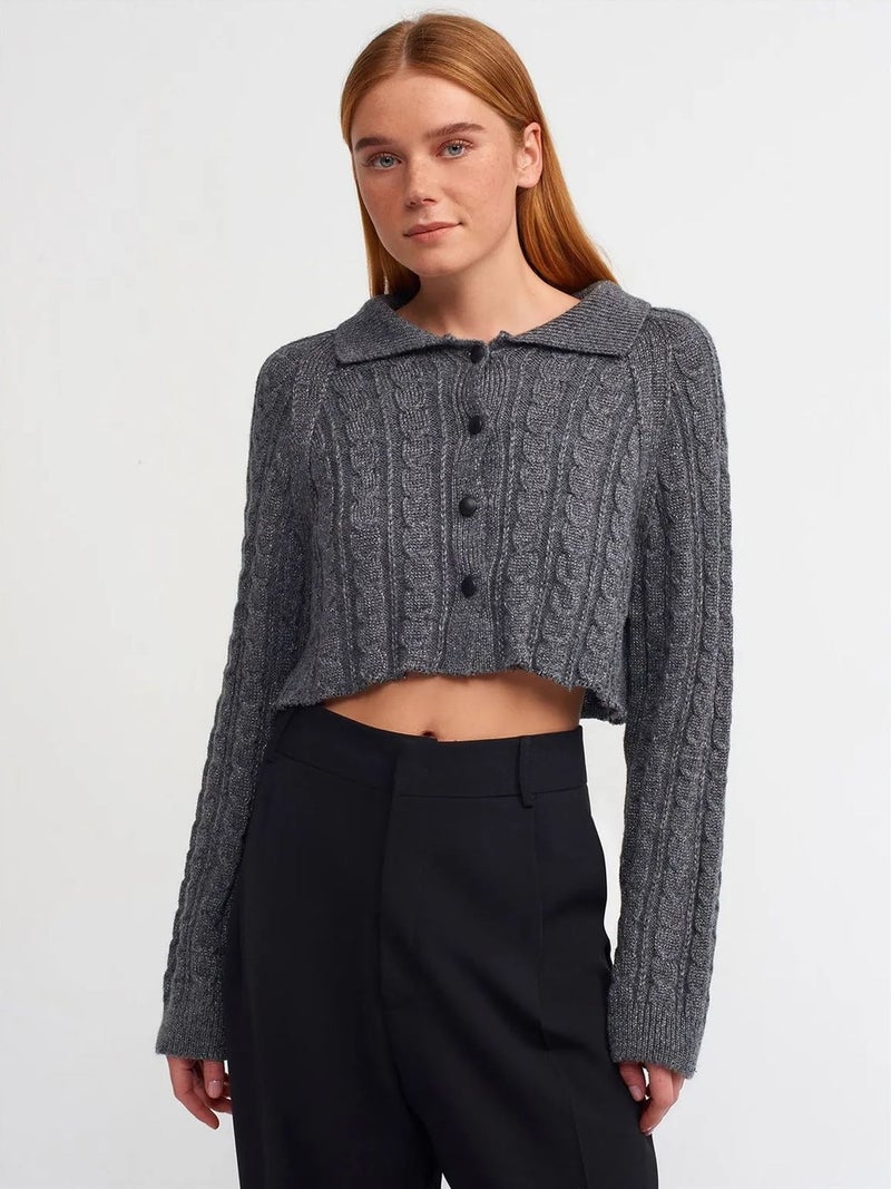 DILVIN Crop Cable-Knit Button Cardigan - Image 1