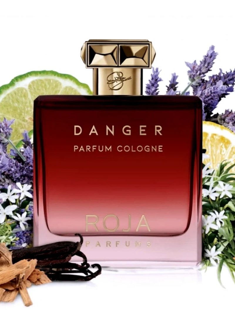 Danger Parfum Cologne - pzsku/Z32DF1C1610456B18B9C7Z/45/_/1740916840/6c839356-c282-490f-92ec-2f22c583195a