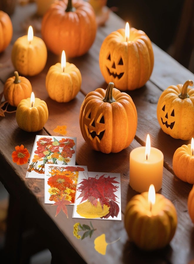 Janinka 108 Pcs Thanksgiving Fall Pumpkin Silicone Candle Molds Set 3D DIY Craft Resin Pumpkin Molds Making Kit with Maple for Craft Harvest Making Fondant Soap Autumn Candy Clay Tools - Image 4
