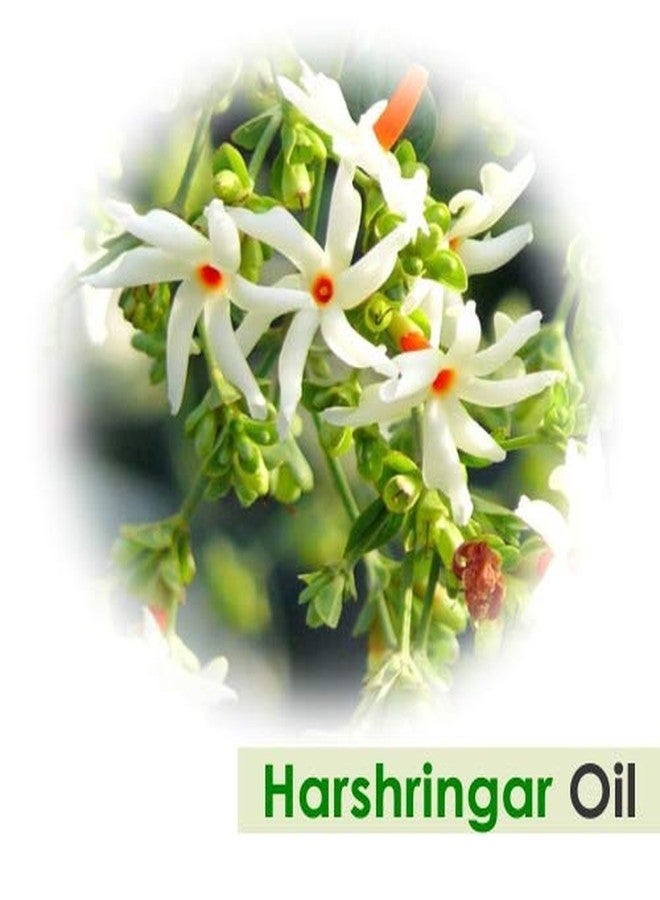 Crysalis Harshringar (Nyctanthes Arbor-Tristis) Oil: Pure & Natural Undiluted Carrier Oil in Organic Standard. Enhances Skin, Hair, and Nourishes Face. 15ml With Dropper - Image 2