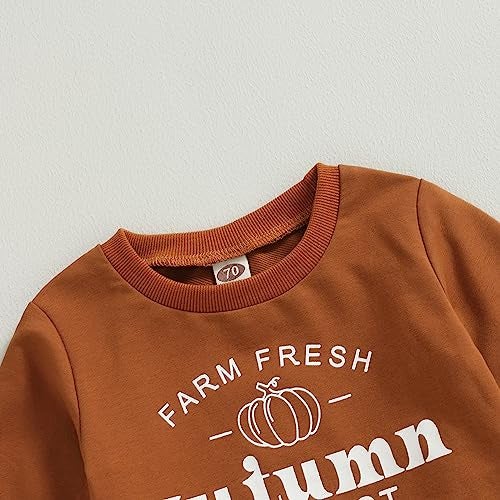 YINGISFITM Toddler Baby Boy Halloween Clothes GhostPumpkin Patch Sweatshirt Long Sleeve Shirt Top Pocket Pants Fall Outfit farm fresh autumn harvest 06 Months - Image 3