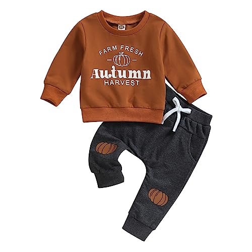 YINGISFITM Toddler Baby Boy Halloween Clothes GhostPumpkin Patch Sweatshirt Long Sleeve Shirt Top Pocket Pants Fall Outfit farm fresh autumn harvest 06 Months - Image 1