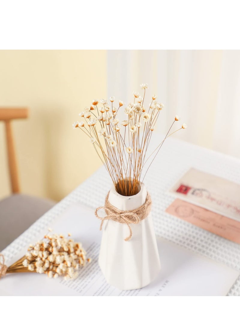 Natural Dry Flowers Brazilian Small Star Daisy Dried White Flowers Dried Daisy Flowers Decorative Dried Flowers Mini Daisy Chamomile Bouquet for Wedding Floral Arrangements Home Decorations (200Pcs) - Image 3