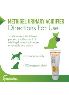 Methigel Urinary Acidifier To Promote Urinary And Bladder Health For Dogs & Cats - pzsku/Z32E91793C5337D398DCBZ/45/_/1726221222/6885da66-4a45-47e7-979e-98ecd1a4b635