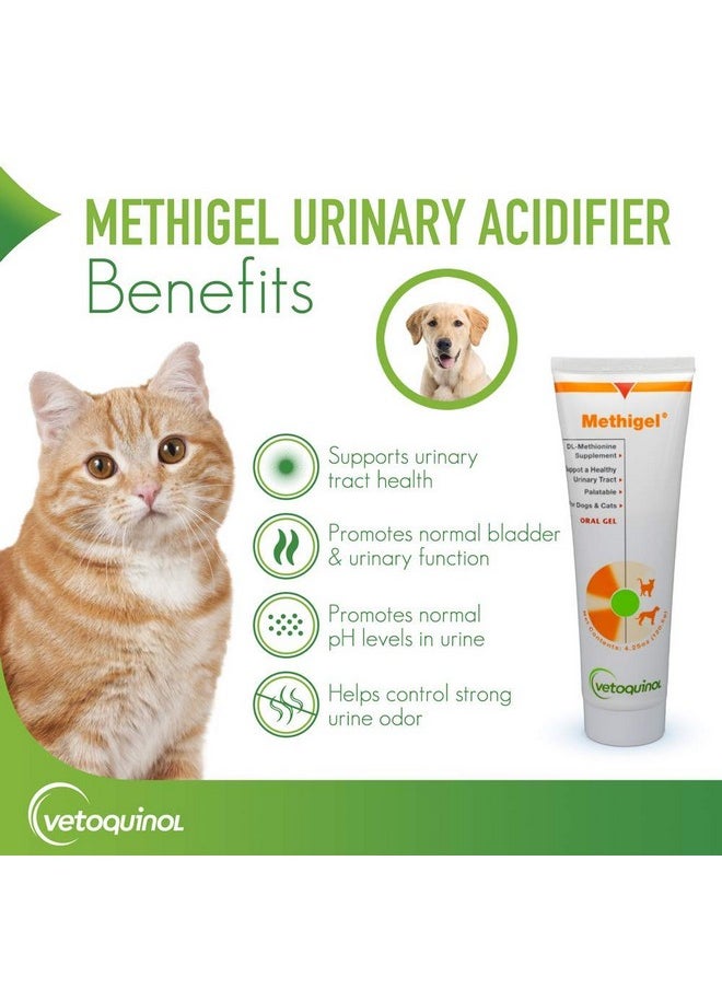 Vetoquinol Methigel Urinary Acidifier To Promote Urinary And Bladder Health For Dogs & Cats  - Image 2