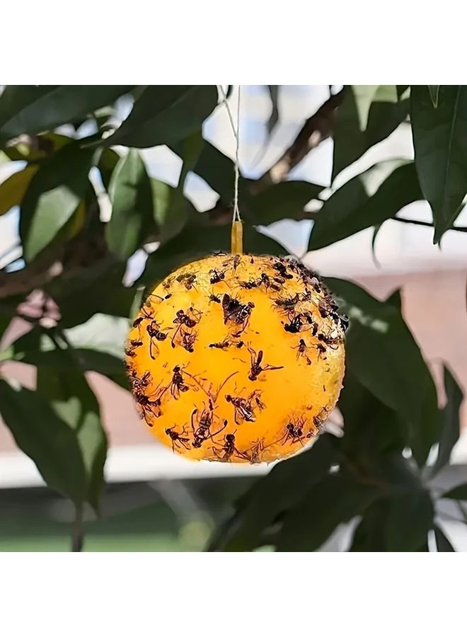 3pcs Sticky Fly Traps Indoor Outdoor Fruit Insect Catcher Balls for Gardens - Image 5