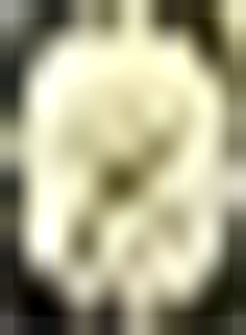 جي جوت 2 قطعة Gele Dahlia Bollen Exotische Vaste Plant هاردي Tuin Planten Bloemen Snelgroeiende Decoratieve Bloembedden Borders Charmant Landschap in Huis - Image 3