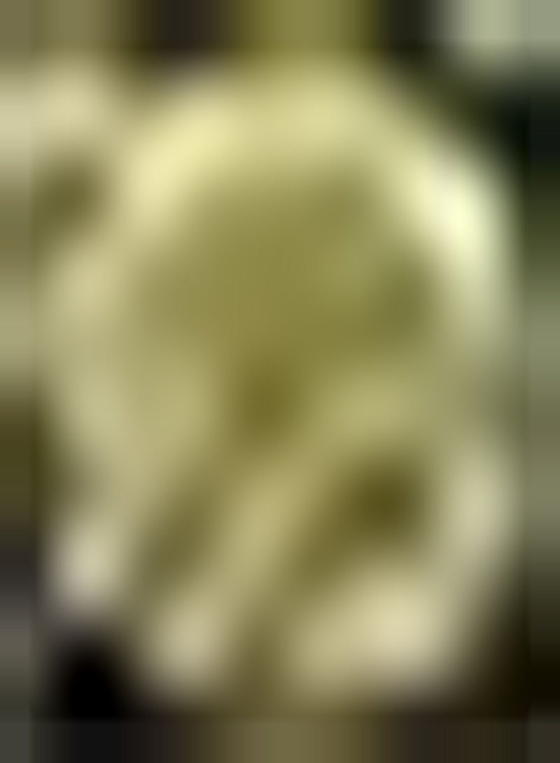 جي جوت 2 قطعة Gele Dahlia Bollen Exotische Vaste Plant هاردي Tuin Planten Bloemen Snelgroeiende Decoratieve Bloembedden Borders Charmant Landschap in Huis - Image 4