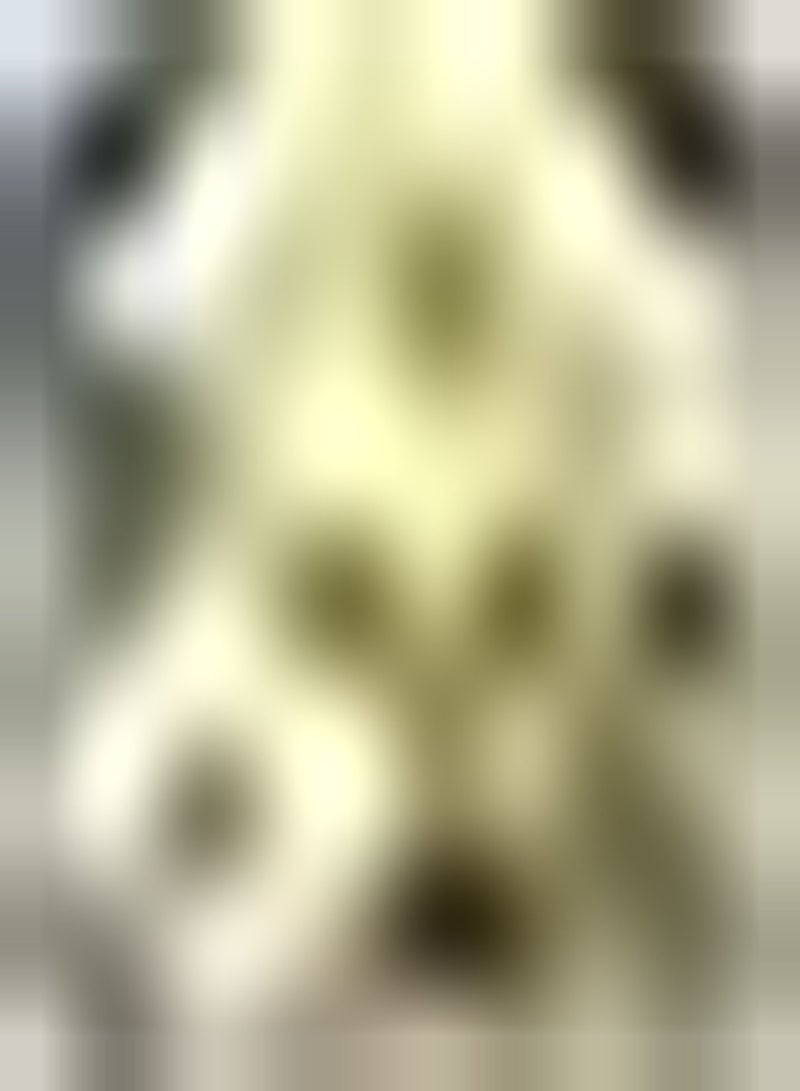 جي جوت 2 قطعة Gele Dahlia Bollen Exotische Vaste Plant هاردي Tuin Planten Bloemen Snelgroeiende Decoratieve Bloembedden Borders Charmant Landschap in Huis - Image 1