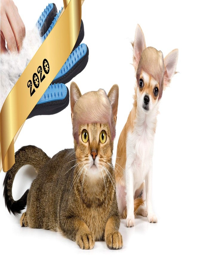 Angeles 8 Upgrade Version Pet Hair Removal Grooming Glove - Dog & Cat Brush Glove for Shedding - Pet Hair Remover Mitt - Dog & Cat with Long & Short Hair (Right Hand only) - Image 5