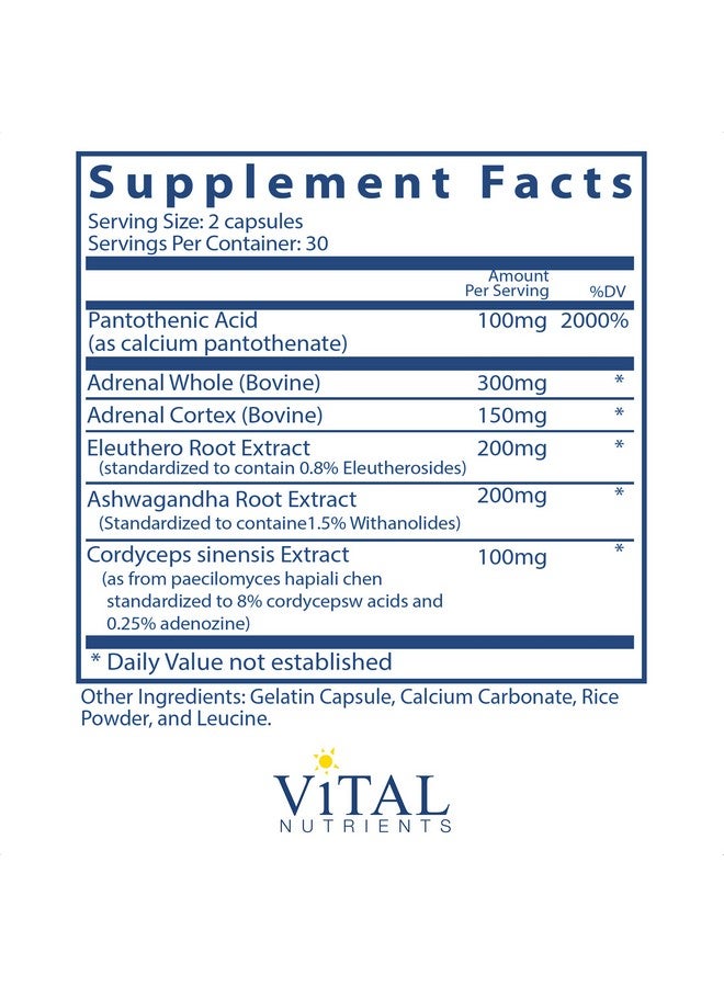 Vital Nutrients دعم الغدة الكظرية مناسب للرجال والنساء يدعم وظيفة الغدة الكظرية يدعم التوتر الخفيف ويدعم نظام المناعة الصحي 60 كبسولة - Image 3