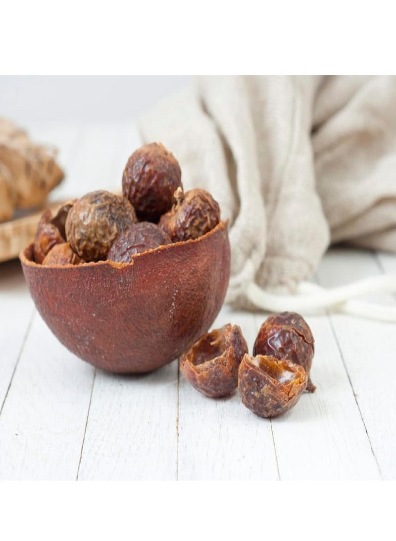 Yauvanya Reetha/Aritha/Soapnut (Sapindus mukorossi) Powder, Natural Hair Cleanser and Nourisher - 100 gms - Image 3