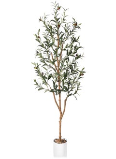 Olive Tree 150cm