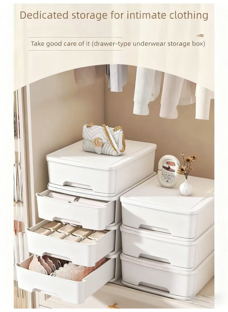 nehem Storage Box Drawer Organizer for Bras, Panties & Socks – Dustproof & Moisture-Resistant Closet Storage Box with Dividers, Handles – Underwear Lingerie Drawer Organizer for Cabinets - Image 3