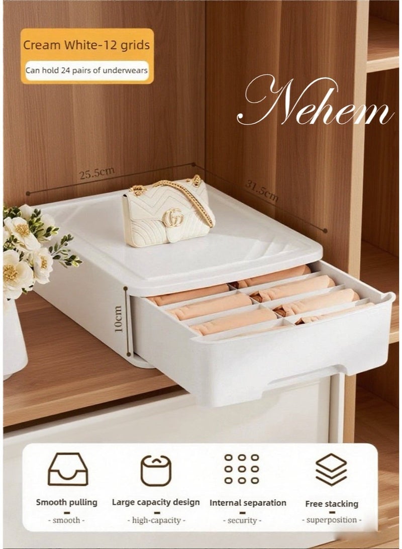 nehem Storage Box Drawer Organizer for Bras, Panties & Socks – Dustproof & Moisture-Resistant Closet Storage Box with Dividers, Handles – Underwear Lingerie Drawer Organizer for Cabinets - Image 1