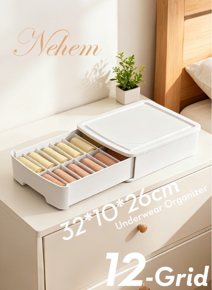 nehem Storage Box Drawer Organizer for Bras, Panties & Socks – Dustproof & Moisture-Resistant Closet Storage Box with Dividers, Handles – Underwear Lingerie Drawer Organizer for Cabinets - Image 2