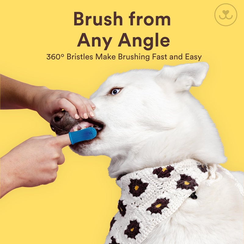 Jasper Large Dog Toothbrush, 360 Degree Pet Tooth Brushing Kit, Cat Toothbrush, Canine Dental Care & Teeth Cleaning Kit, Pet Finger Tooth Brush, Use with Dog Toothpaste, 2-Pack Navy-Blue Large - Image 4
