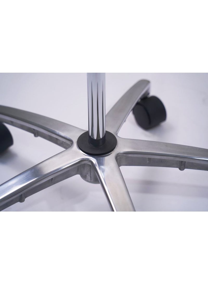 سبا من الفولاذ المقاوم للصدأ، صينية صالون بعجلات، حامل عربة مايو، ارتفاع قابل للتعديل 75~123 سم - Image 4