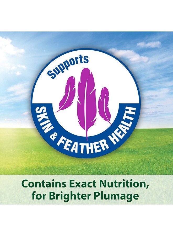 كايتي طعام الطيور الأليفة من Kaytee Fiesta Parrot، 4.5 رطل - Image 3