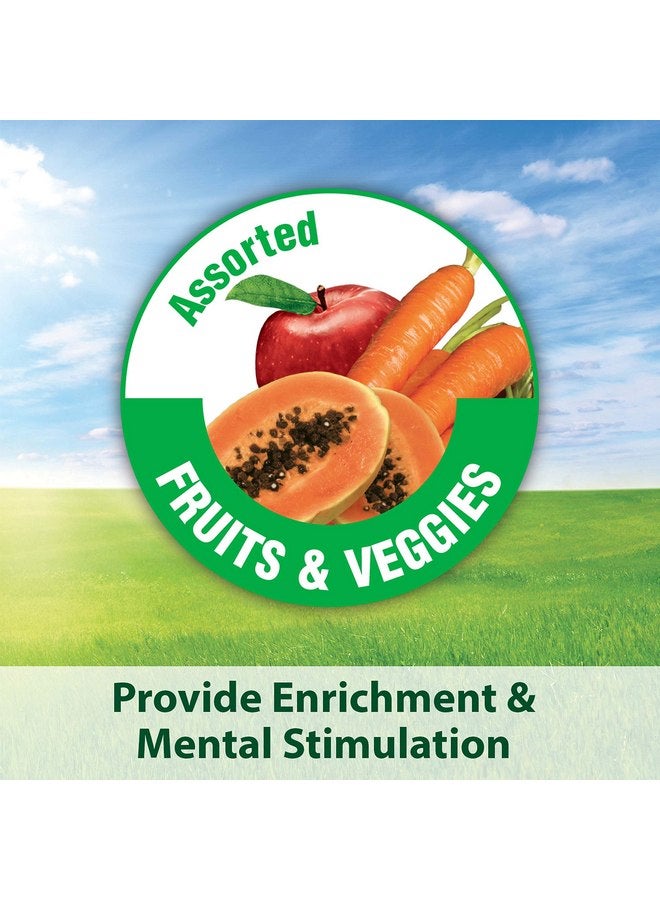 كايتي طعام الطيور الأليفة من Kaytee Fiesta Parrot، 4.5 رطل - Image 2