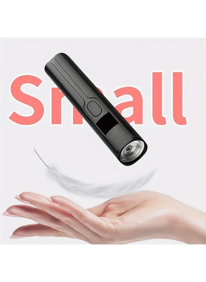 Black UV LED Flashlight USB Rechargeable 395nm 3 Modes Portable Pet Urine Detector - Image 4