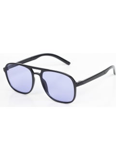 Focus On Asgard Black Purple Sunglasses  - Image 1