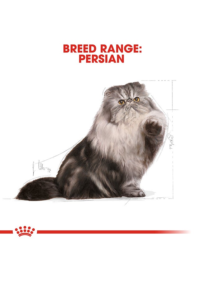 ROYAL CANIN Feline Breed Nutrition Persian Adult Cat Dry Food  - Image 5