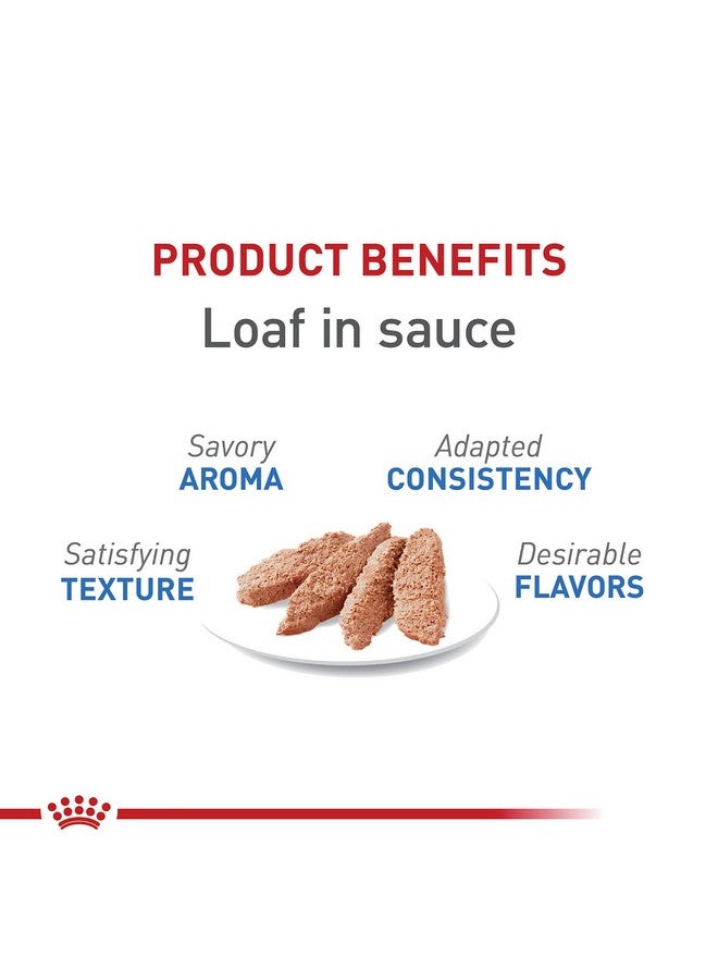 Royal Canin Feline Weight Care Loaf in Sauce Canned Adult Wet Cat Food, 3 oz cans 24-count - Image 1