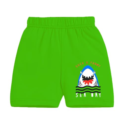 Kuchipoo Boys Regular Fit Cotton Shorts (KUC-SHT-139, Multicolor, 8-9 Years) - Pack of 8 - Image 3