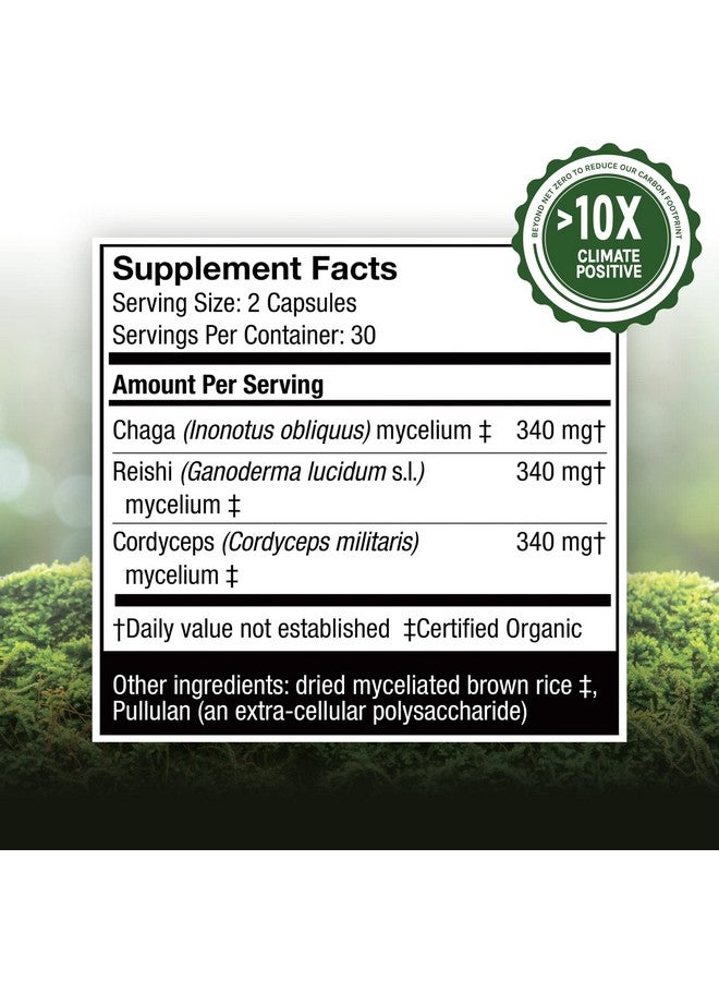 Host Defense Breathe Capsules Respiratory Support Mushroom Supplement With Cordyceps Reishi And Chaga Unflavored 60 - Image 4