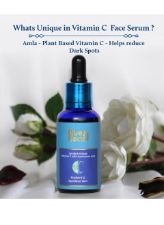 Blue Nectar Blue Nectar Daily Face Moisturizer with Natural Vitamin E & Vitamin C (1.7 Fl Oz) and Vitamin C Face Serum with Natural Hyaluronic Acid (1 Fl Oz)  - Image 2