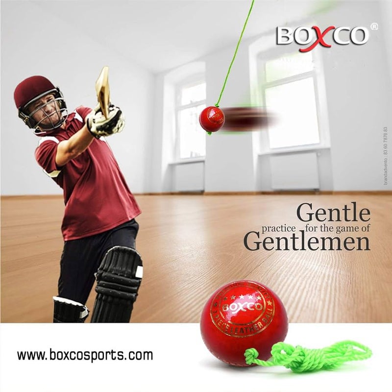 BOXCO كرة كريكيت جلدية حمراء معلقة بحجم قياسي للتدريب على الضرب. مثالية لتحسين التنسيق بين اليد والعين، وتقنية الضرب والتوقيت (سلك بطول 7 أقدام متضمن) - Image 3