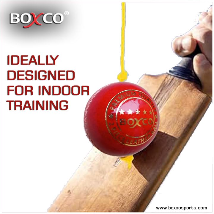 BOXCO كرة كريكيت جلدية حمراء معلقة بحجم قياسي للتدريب على الضرب. مثالية لتحسين التنسيق بين اليد والعين، وتقنية الضرب والتوقيت (سلك بطول 7 أقدام متضمن) - Image 2