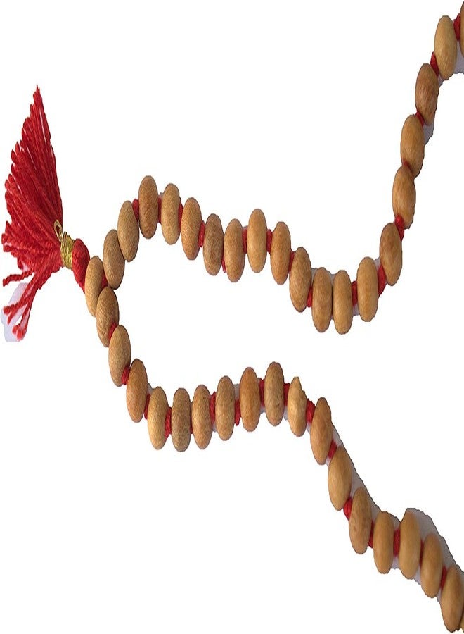 WITSOUL Tulsi Holy Basil Japa Mala 108+1 Beads Original for Daily Mantra Jaap Mala For Unisex Adult - Image 4