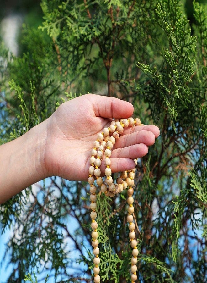 WITSOUL Tulsi Holy Basil Japa Mala 108+1 Beads Original for Daily Mantra Jaap Mala For Unisex Adult - Image 3
