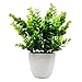 OFFIDIX Mini Artificial Eucalyptus Plants with Vase for Office Desk,Fake Plant with Plastic Pots for Home,Shower Room - Image 2